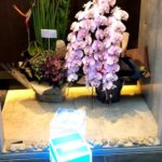 アメックスの日本の極 KIWAMI 50の会場