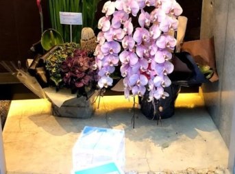 アメックスの日本の極 KIWAMI 50の会場