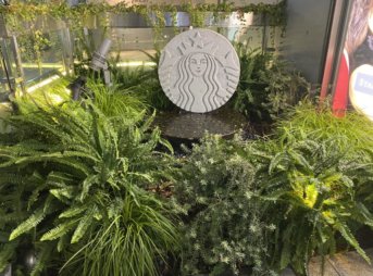 表参道ヒルズのスターバックス